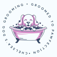 chelseas-dog-grooming